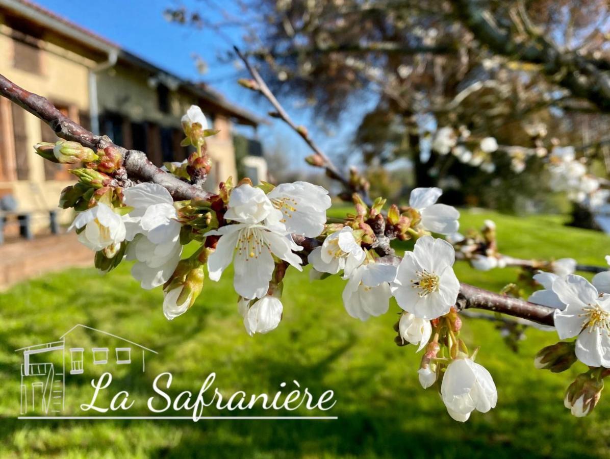 La Safraniere Villa Lagraulet-Saint-Nicolas Exterior photo